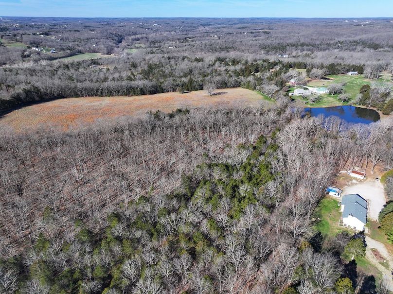 DJI_20260317093535_0980_D