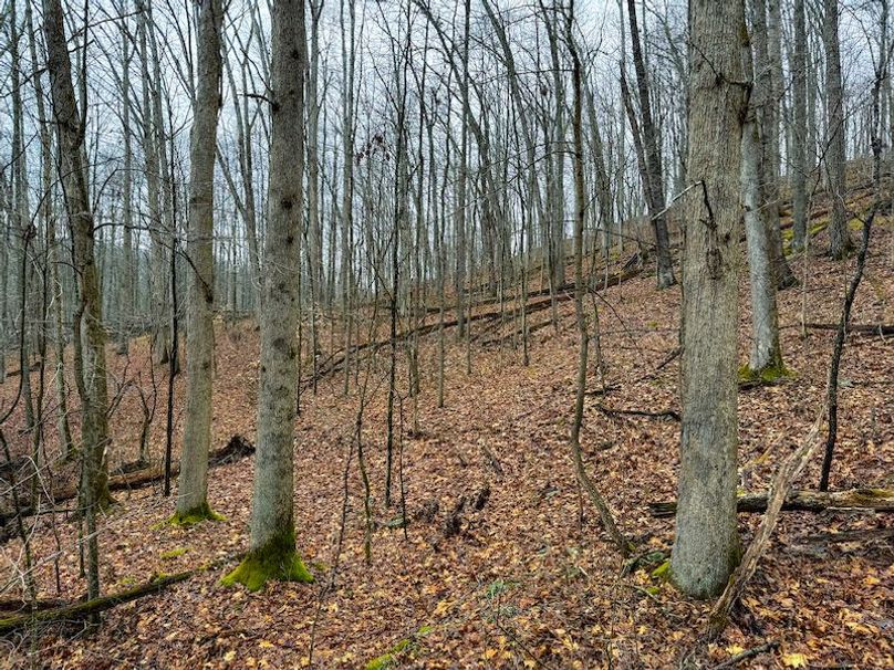 Ritchie, WV 64 AC Hall New Pics-15