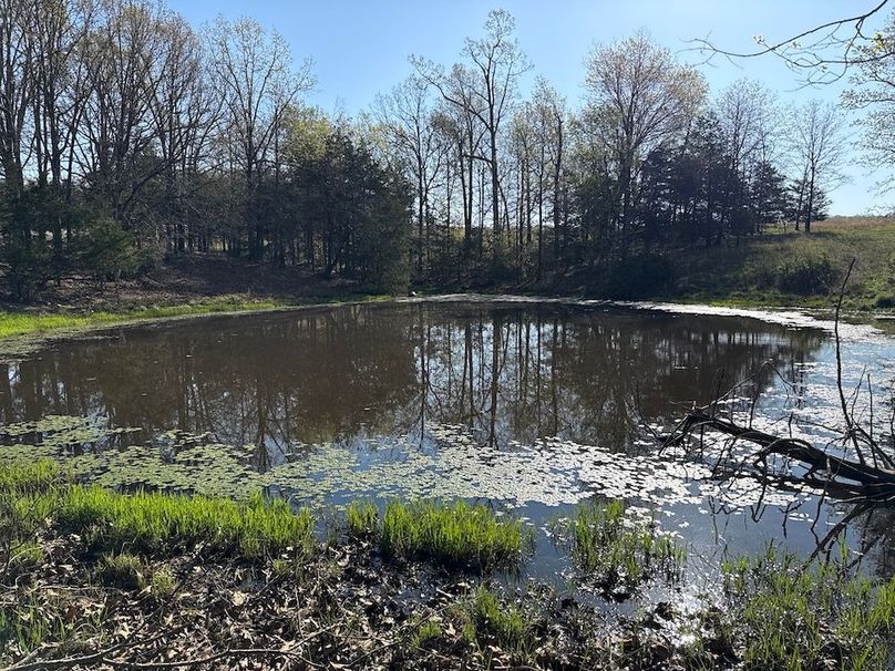 DJI_20260409_091212_759