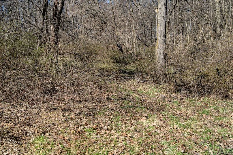 Jo Daviess IL 23.5_13