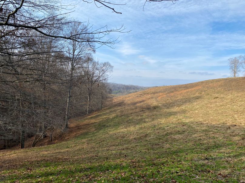 010 some of the transition areas from pasture to woods in the middle of the property copy