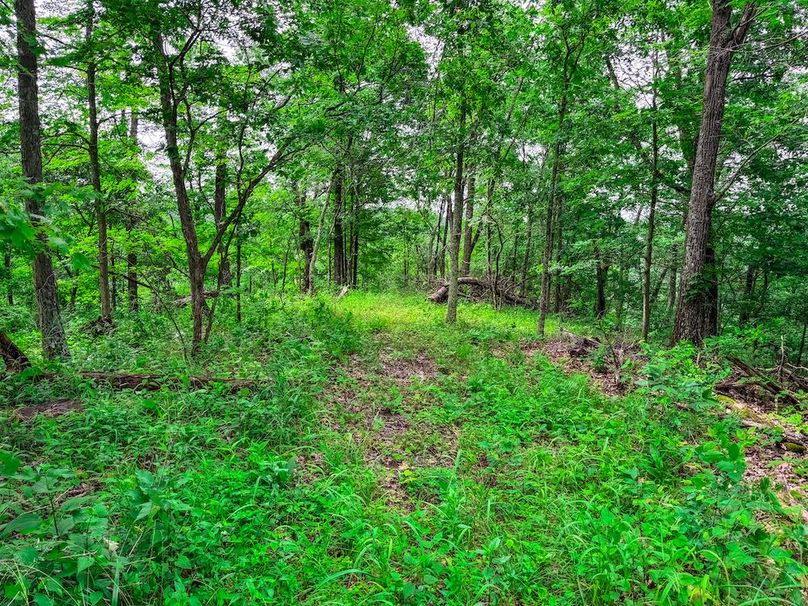 Wirt, WV 137.45 AC Full-32