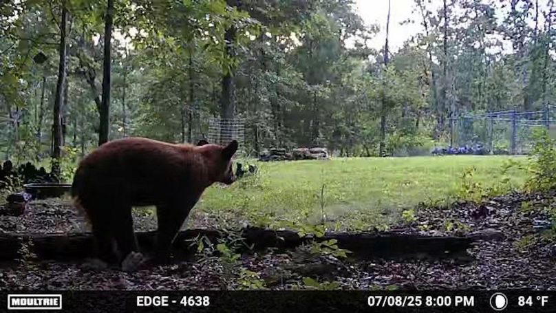 Temp_1498388-20250709010131-100MFCAM_MFDC0252