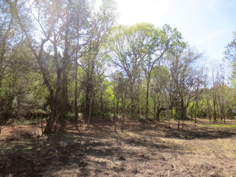 E9B9BA96-EB61-4044-84C2-5E73668CAA4A_1_105_c