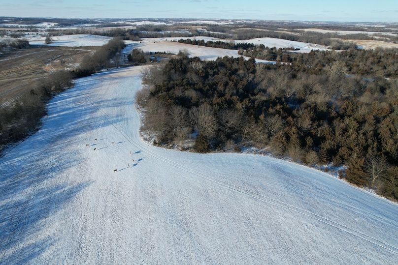 DJI_0429