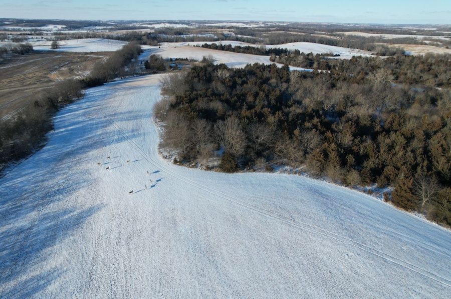 DJI_0429
