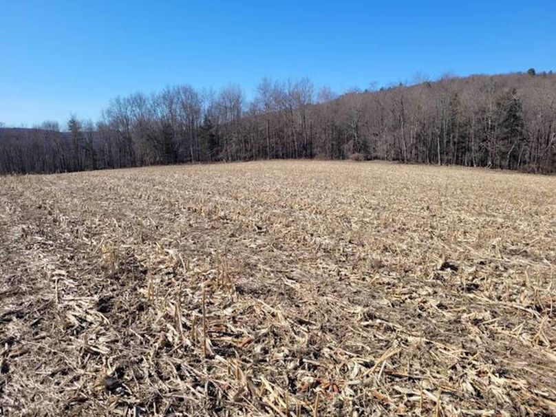 11067406-yfrmfrDjCLDmt9wx