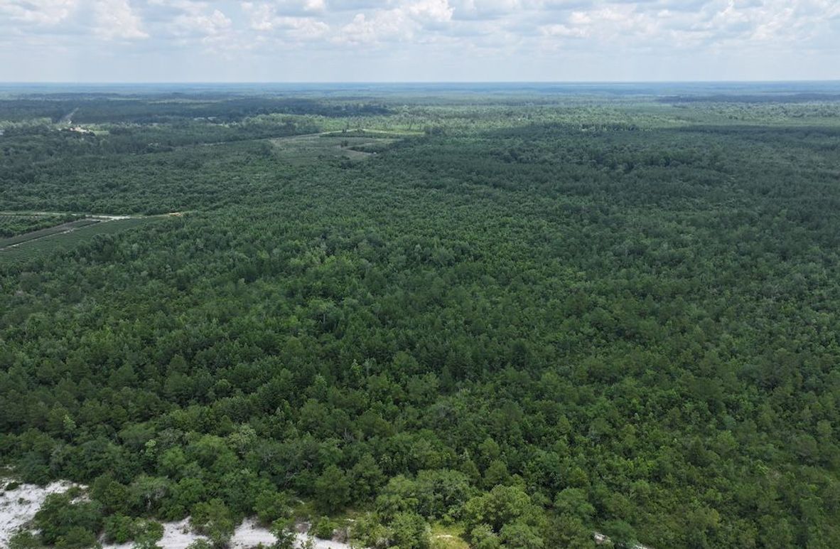 DJI_20250627124207_0162_D