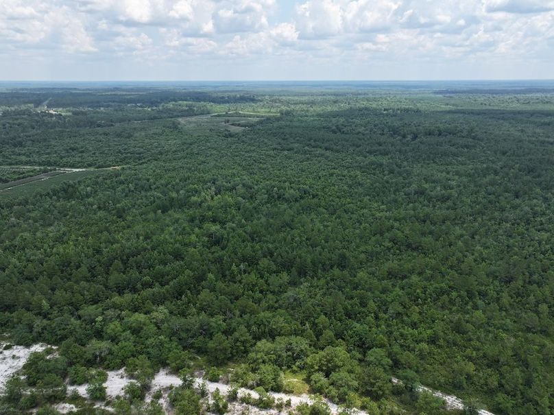 DJI_20250627124207_0162_D