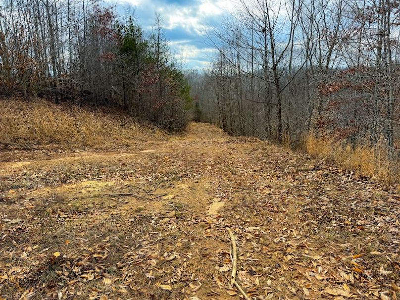 Doddridge, WV 79.08 AC Adams-65