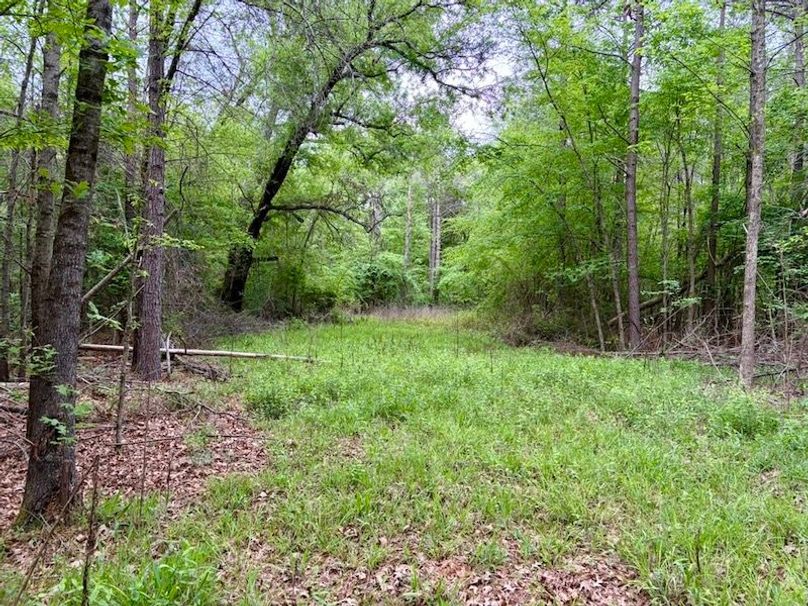 CAD3B0AC-14A1-42D2-9A17-3A9CB1C25A83_1_105_c