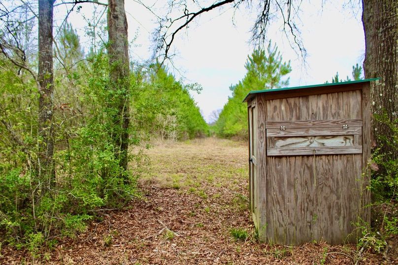 F8456112-CC00-434A-9FB5-C6D45EB14A0B_1_105_c