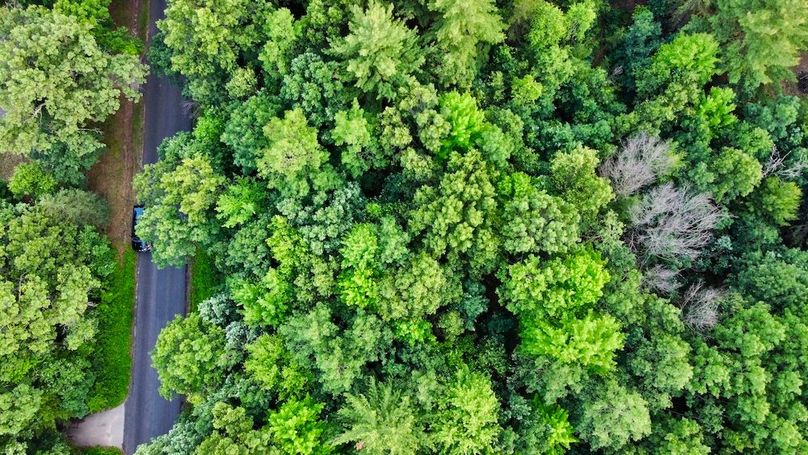 dji_fly_20250624_195820_902_1750813702280_photo_optimized