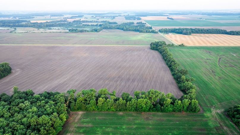 Copy of DJI_20250703170505_0004_D