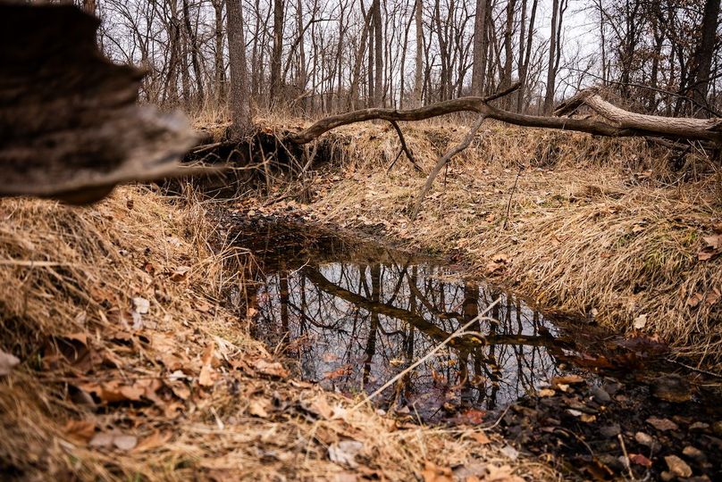 Pike IL 96.87 Adv Pro Photo-31