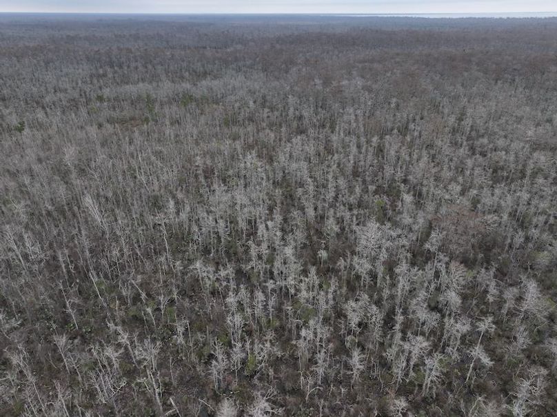 dji_fly_20260123_120828_0925_1769444779986_photo