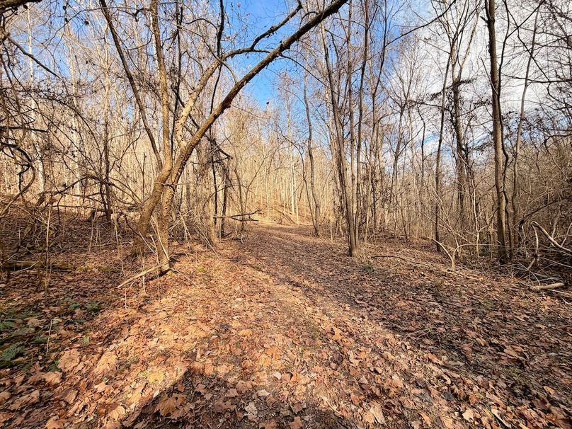 Roane Co TN 396 20251127_83