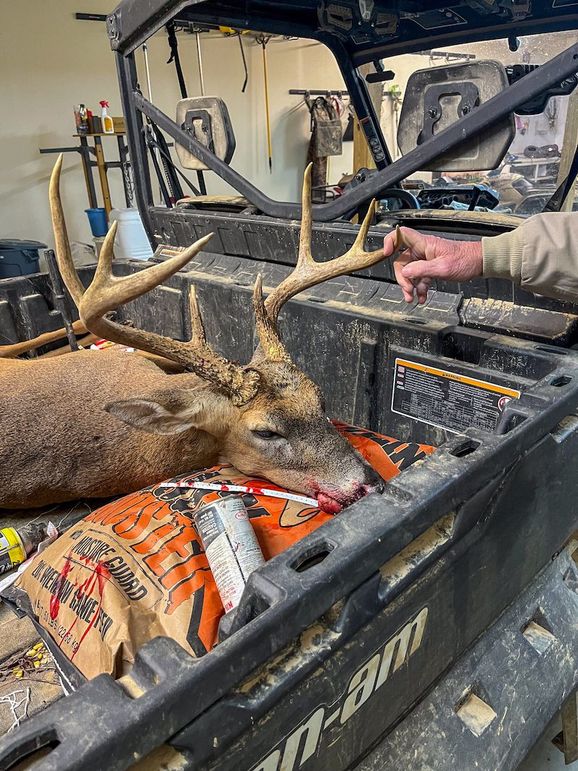 Claiborne Co - 274 - Marian-006