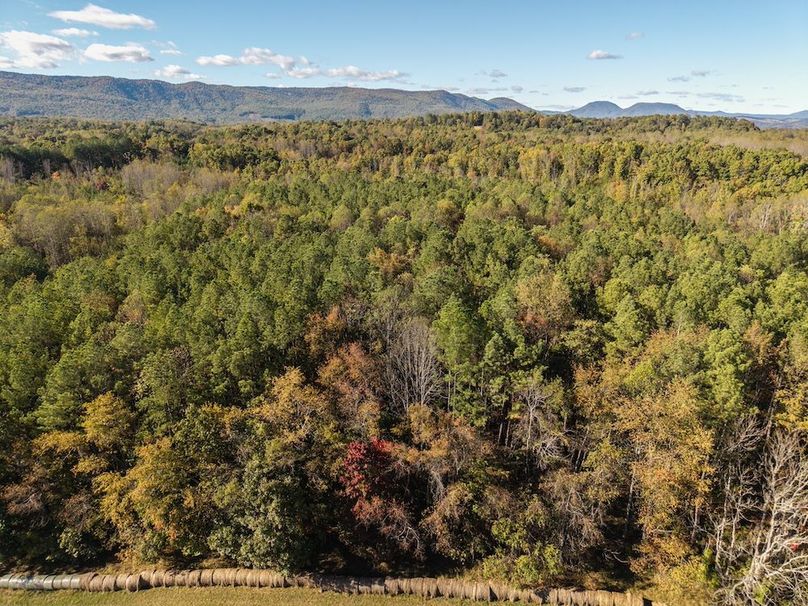 DJI_20251014160521_0001_D