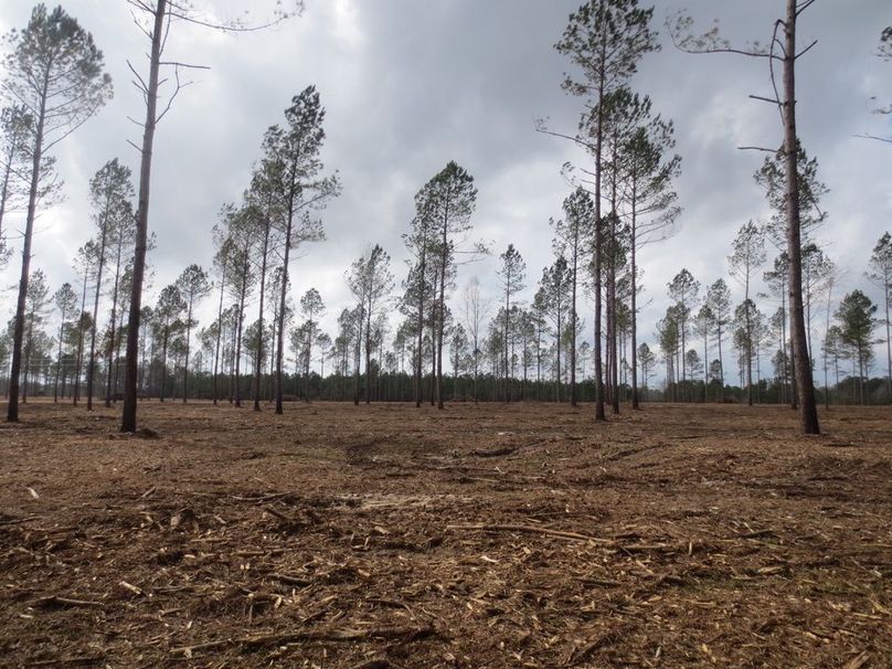 E898A5B0-5C00-4C49-9067-12C61BADC319_1_105_c