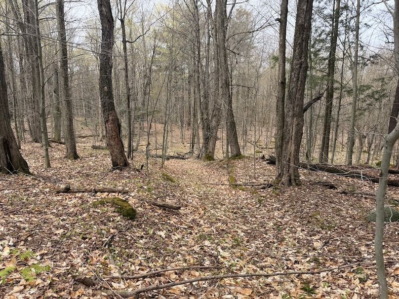 45