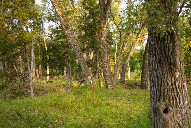 Keya Paha NE 2700_Pro Photo-131