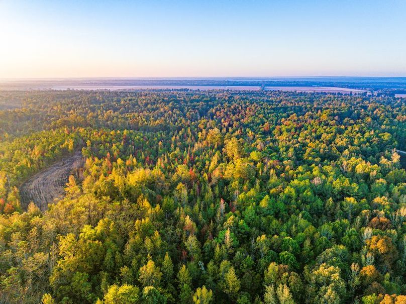 Clay 302.7 Henderson-63