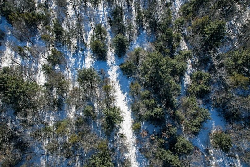 Adams 25, Nessler -14