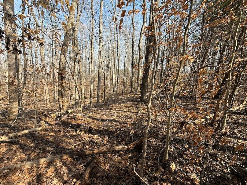 98EECAFB-06CE-45F7-81CD-A986FAE75F45_1_102_o