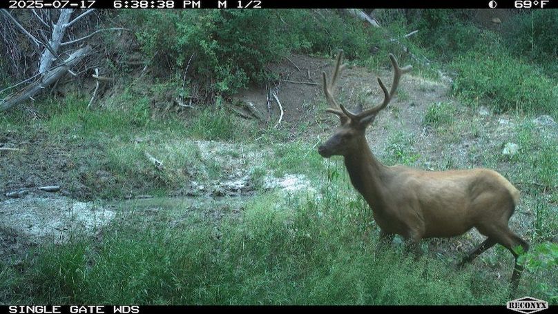 26E102B4-3EE8-4620-8345-6ABEB4463C0A 2