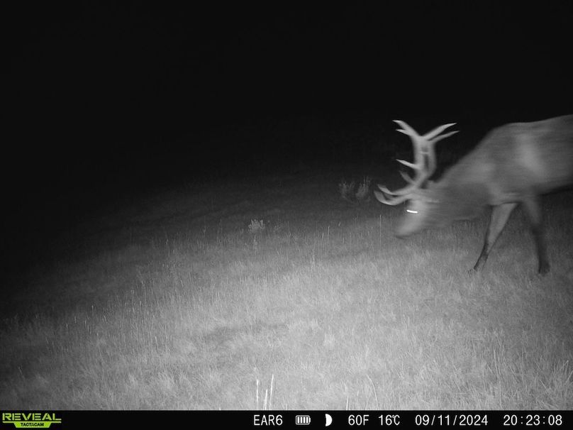 Copy of 868032066947726-90-4-09122024172812-HD-SYFW6760