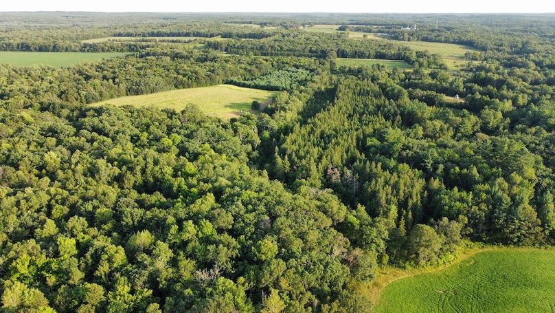 dji_fly_20240811_190050_726_1723420865470_photo_optimized