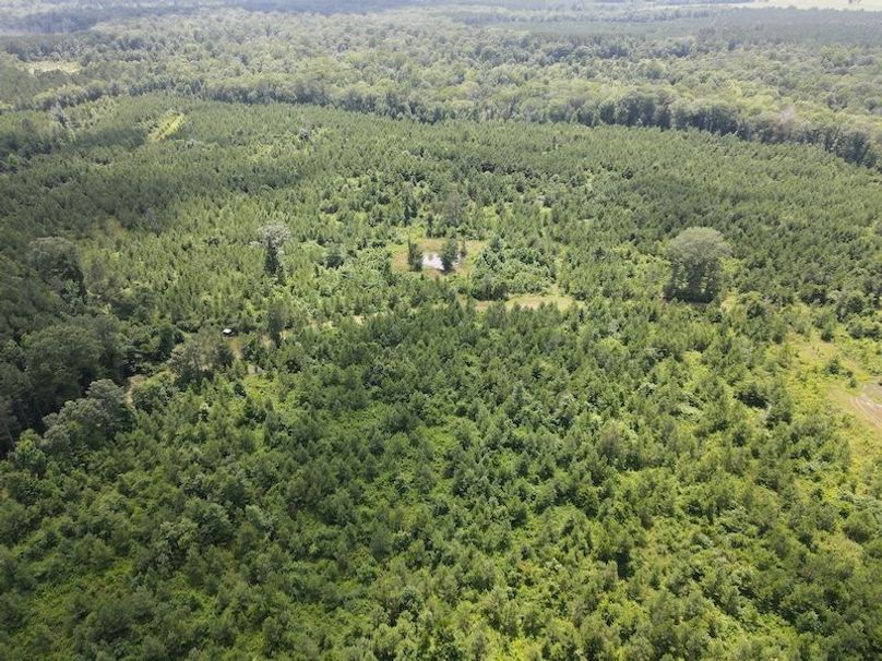 DJI_0364