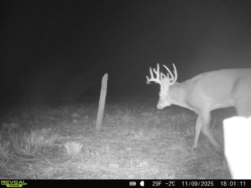 Copy of 860322062100349-100-4-11092025180110-V-W1003439