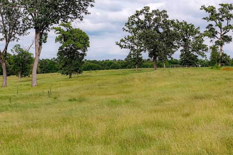 Holman Ranch-39