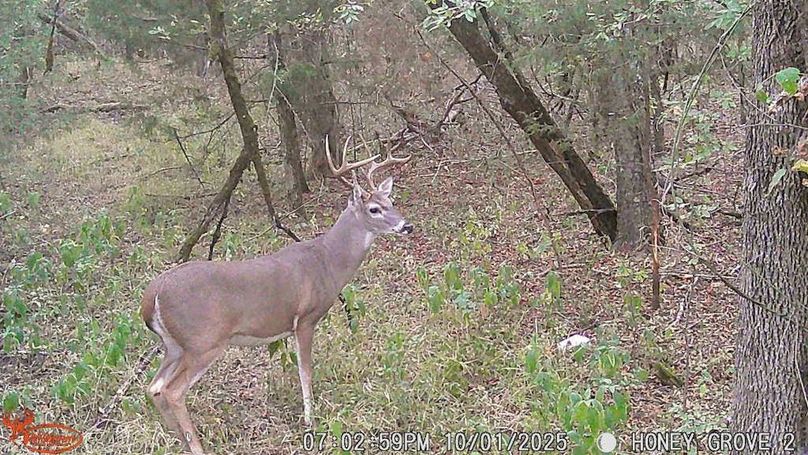 Lamar County- 93 acre reshoot (38 of 43