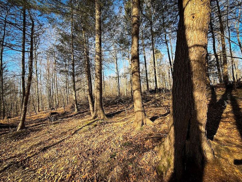 Chemung_31.75_Seymour_North_Photos_26