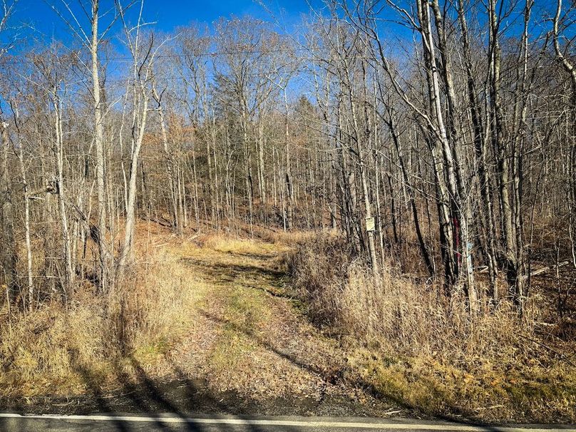 Chemung_31.75_Seymour_South_Photos_28