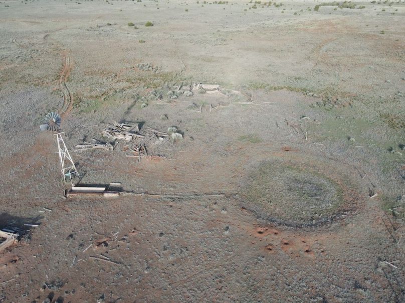 dji_fly_20240504_074406_322_1714830323921_photo