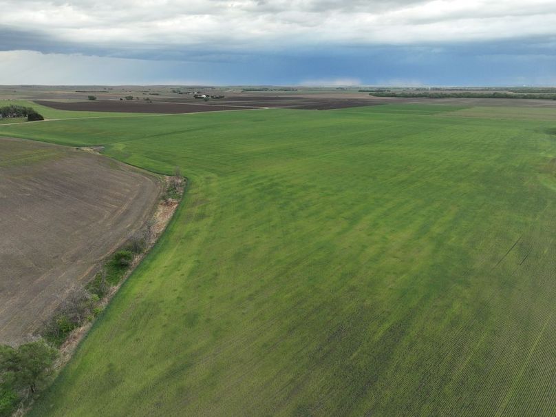 Copy of dji_fly_20240501_080756_982_1714568987450_photo