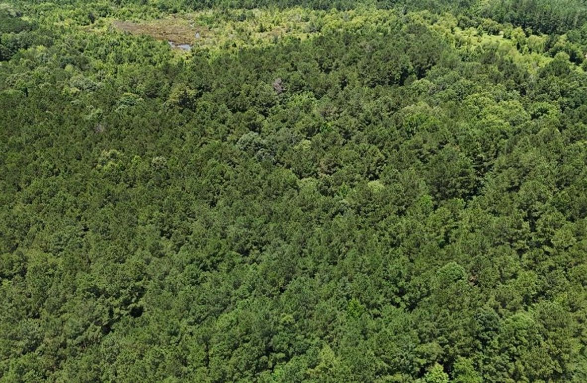 DJI_20250620020436_0632_D