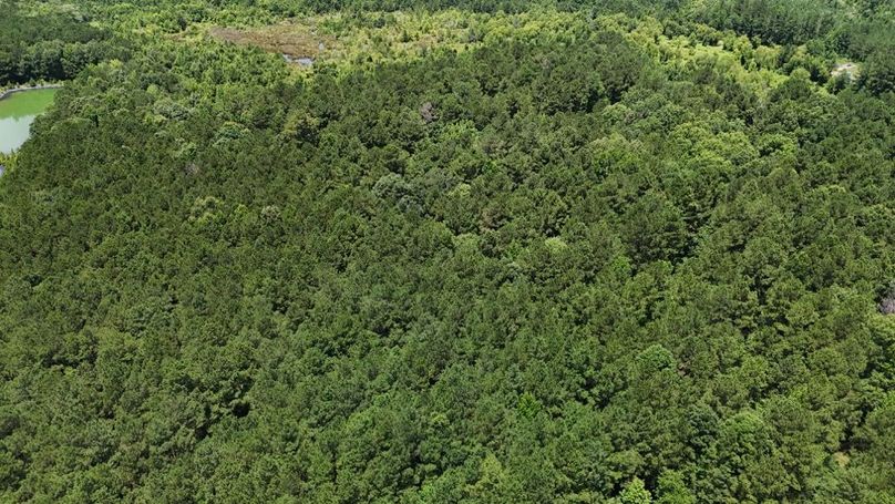 DJI_20250620020436_0632_D