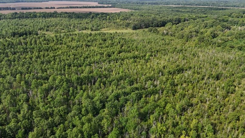 DJI_20250802224428_0569_D