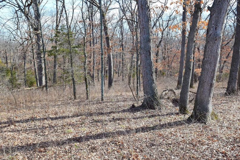 DSC_0272_inPixio (2)