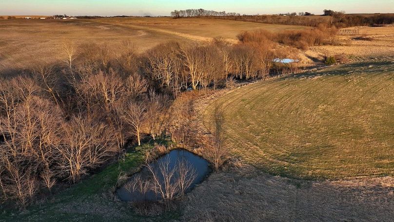 4 Buchanan 252.69 Tract 2