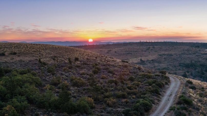 DJI_20250813071739_0373_D