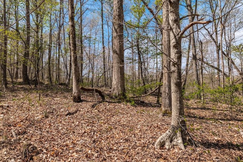 34-web-or-mls-0 Mound Creek Rd-4