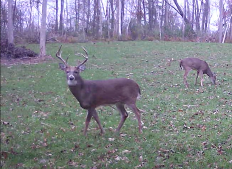 Screen Shot 2024-01-22 at 6.11.12 AM