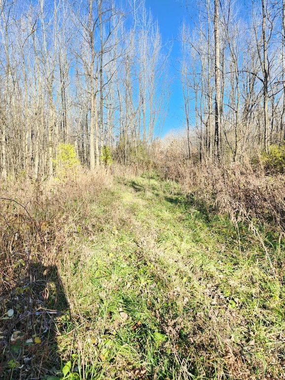 e01c7093-6d37-4567-8816-b03d58f96ca0