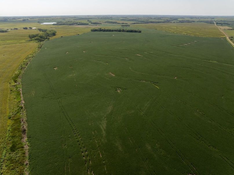 DJI_20250822112902_0050_D